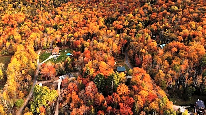 2026 Fall Foliage: When Leaves Will Peak Across the US