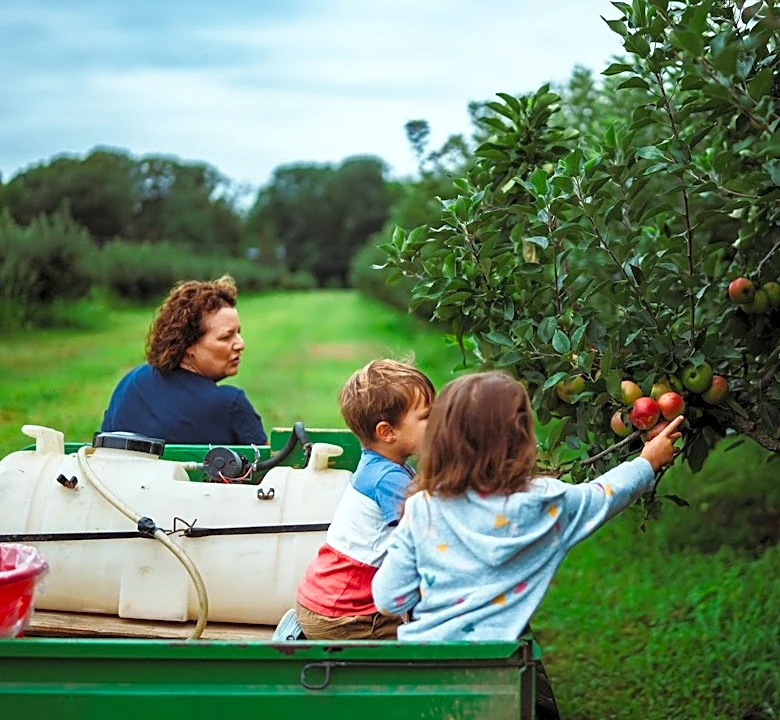 How to Use Weather Forecasts for a Perfect Apple Picking Day