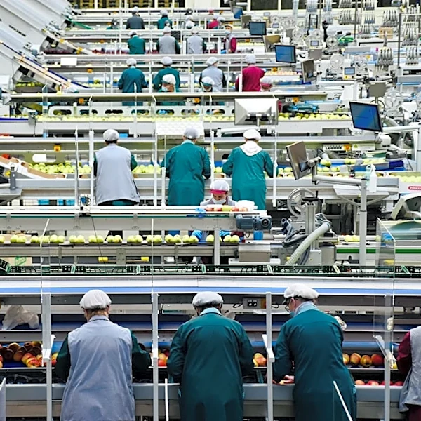 Climate Resilience Lags in Food Industry Strategies