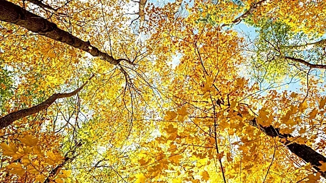 Cooler Fall Weather Arrives in Minnesota