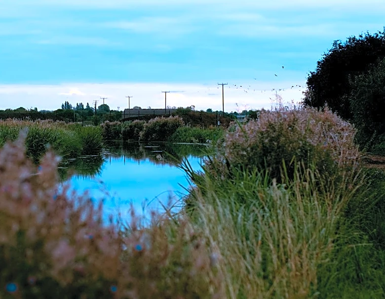 Cambridge’s Drought Downgraded to Mild