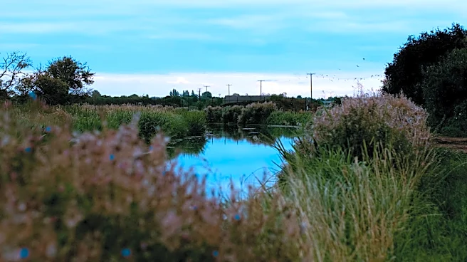 Cambridge’s Drought Downgraded to Mild