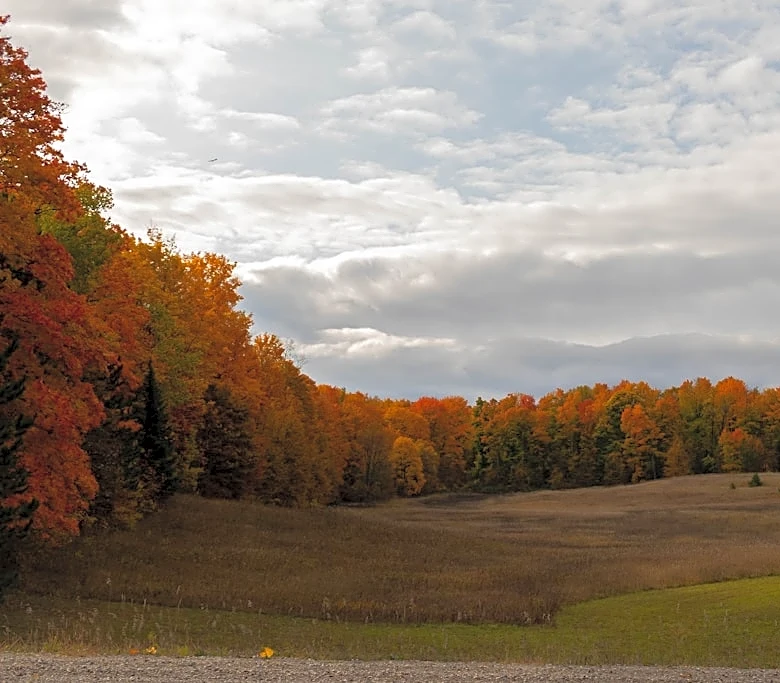 Fall Foliage Peaks Early in Northeast and West