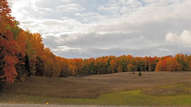 Fall Foliage Peaks Early in Northeast and West