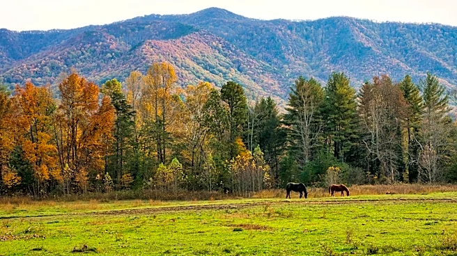Understanding the Beauty of Great Smoky Mountains Foliage