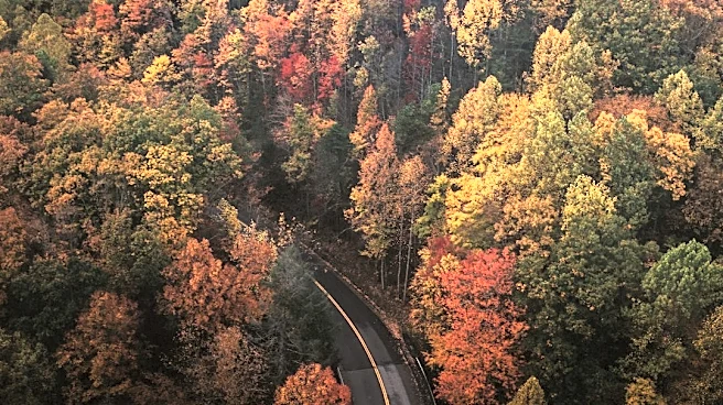 How to Use Fall Foliage Prediction Tools for Your Next Adventure