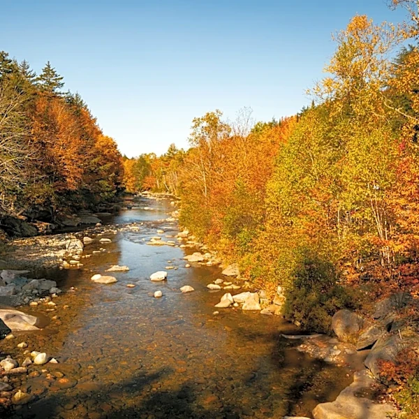 New England Fall Colors Near Peak Amid Storm Concerns