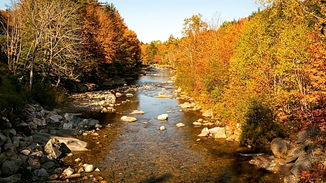 New England Fall Colors Near Peak Amid Storm Concerns
