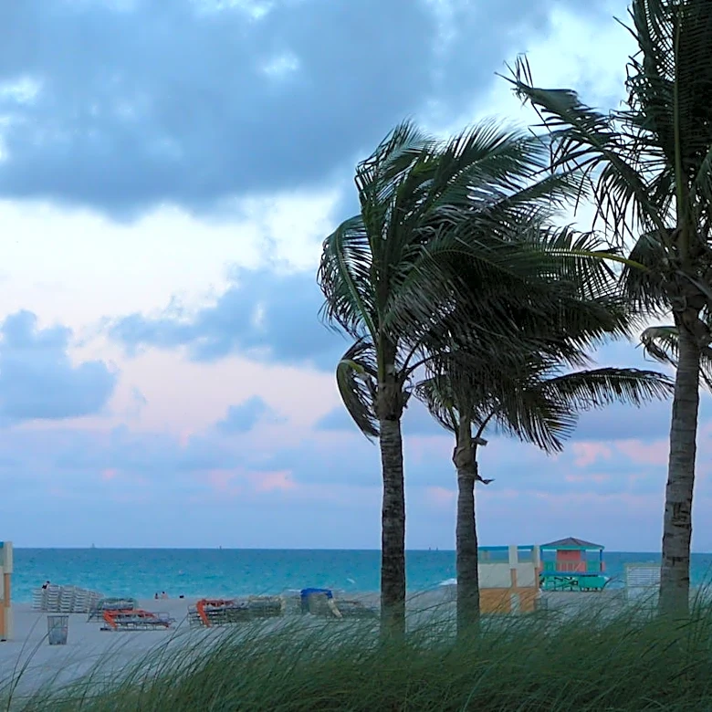 Flood Advisory Issued for Palm Beach County