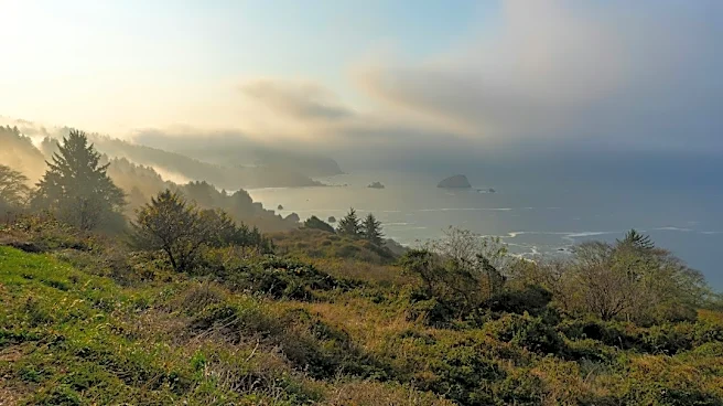 Northern California Sees Temperature Swings This Week