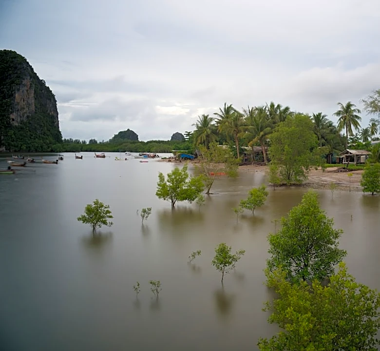 FEMA Allocates $44M for Disaster Resilience in Southeast