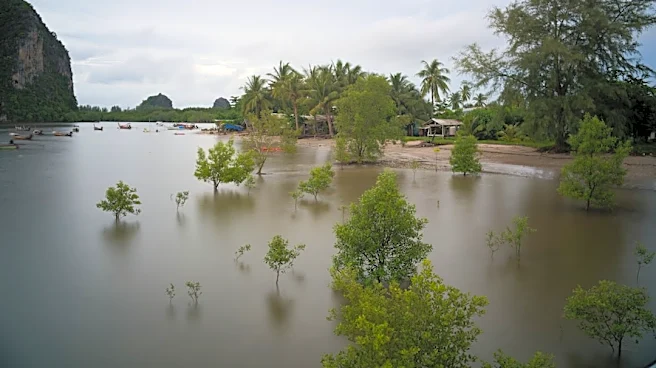 FEMA Allocates $44M for Disaster Resilience in Southeast