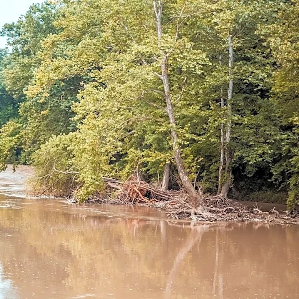 Ohio Declares Emergency After Severe Storm Damage
