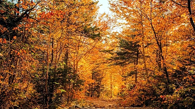 New Fall Color Tracker Covers U.S. Parks & Forests