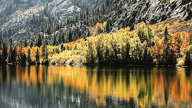 Mono Basin Fall Foliage Peaks Mid-October