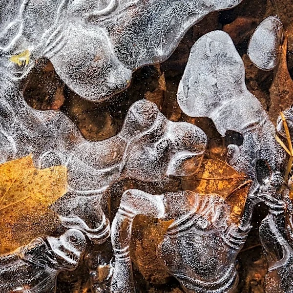 Frost Advisory in Northern Wisconsin, Highs Near 65°F
