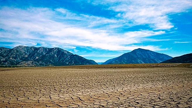 Super El Niño May Cause 450,000 Heat Deaths Globally