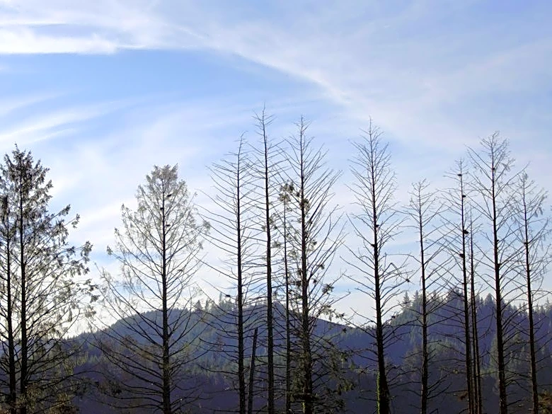 Wildfire Repairs Near Completion in Central Oregon