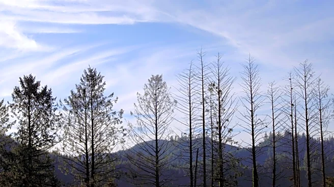 Wildfire Repairs Near Completion in Central Oregon