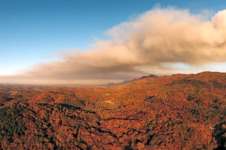 Tennessee Wildfire Risk Low Despite Dry Conditions