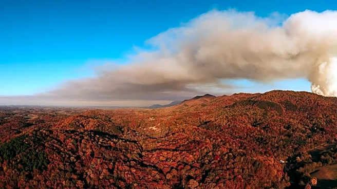 Tennessee Wildfire Risk Low Despite Dry Conditions