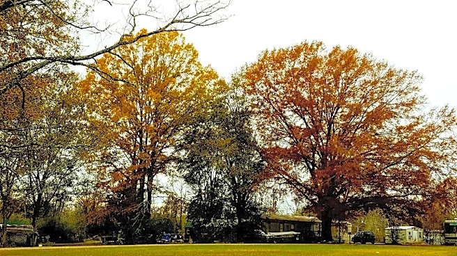 Cooler, Drier Weather Arrives in Alabama