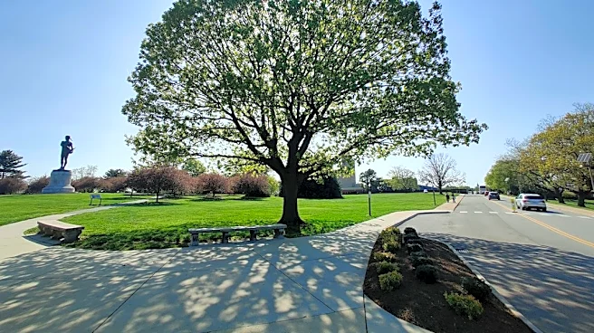Baltimore's Tree Cover Boosts Climate Resilience