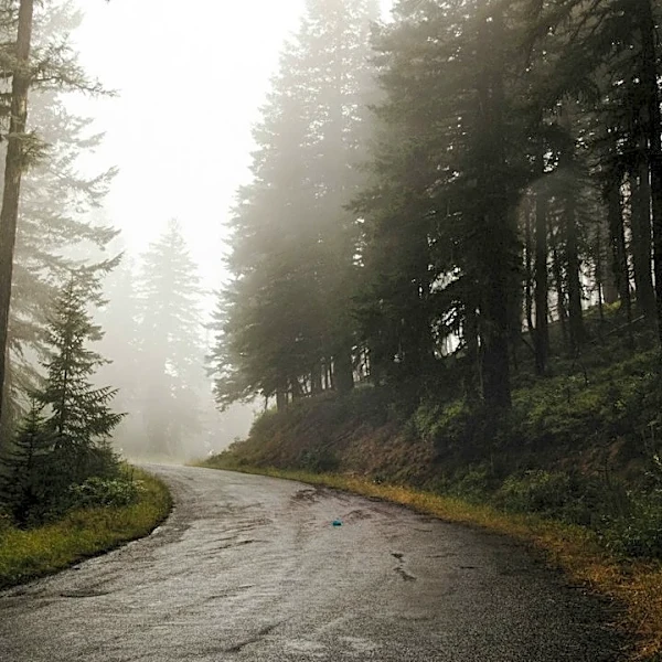 Rain, Gusty Winds Expected in Spokane by Friday