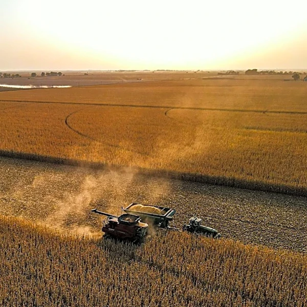 Wildfires Cause Long-Term Damage to U.S. Agriculture and Ecosystems