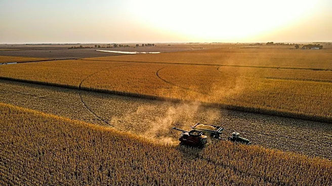 Wildfires Cause Long-Term Damage to U.S. Agriculture and Ecosystems
