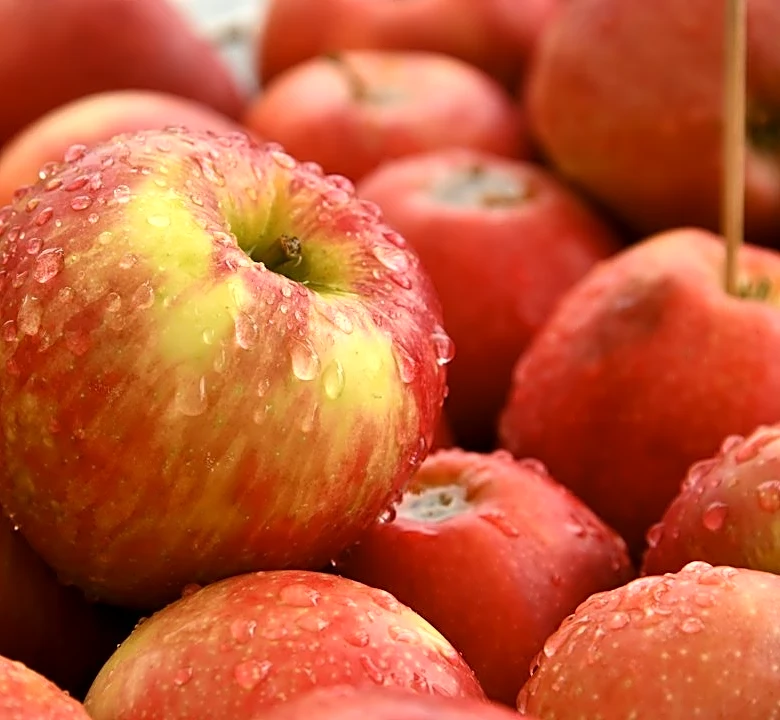 Understanding the Best Weather for Apple Picking