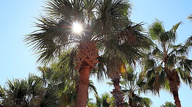 Warm Weather Continues in Orlando, FL