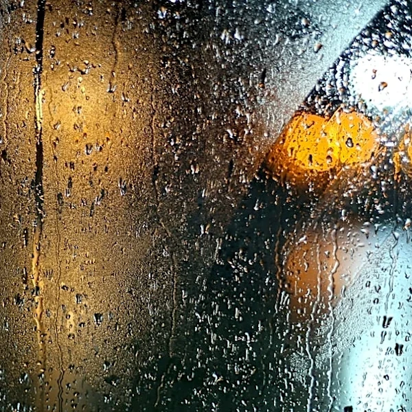 Essential Safety Tips for Driving in Rainy Weather