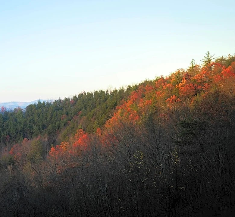 Great Smoky Mountains Fall Foliage Peaks Late October