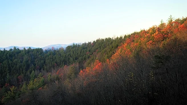 Great Smoky Mountains Fall Foliage Peaks Late October