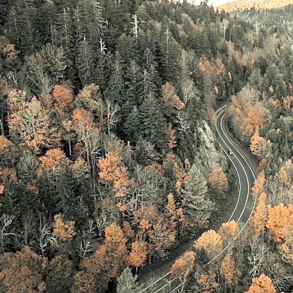 North Carolina Fall Foliage Peaks Late October