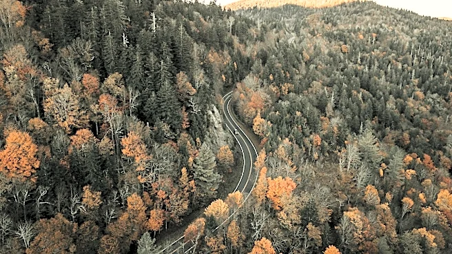 North Carolina Fall Foliage Peaks Late October