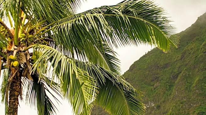 Tropical Storm Nolo Threatens Big Island With Flooding