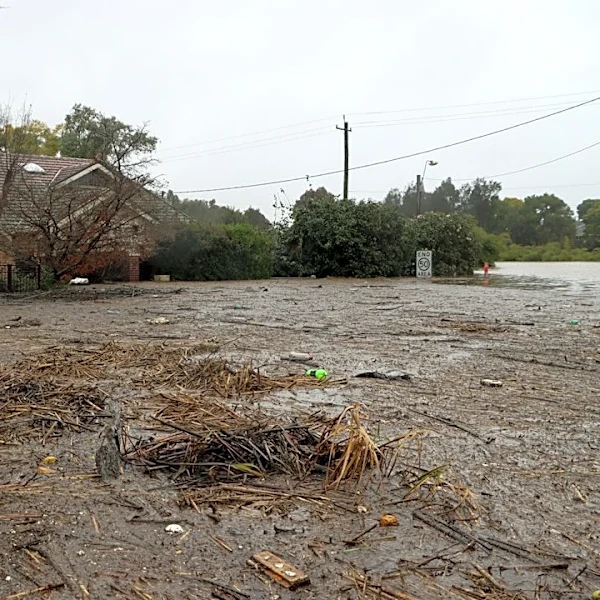 Deep South Swelters While Southwest Faces Flood Risk