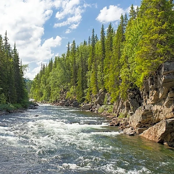 Study Identifies Resilient Western U.S. Rivers