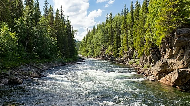 Study Identifies Resilient Western U.S. Rivers