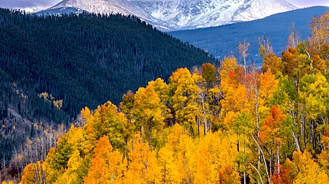 Fall Foliage Begins in Enchanted Mountains, NY