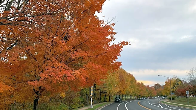 Drought May Dull Fall Colors in Virginia