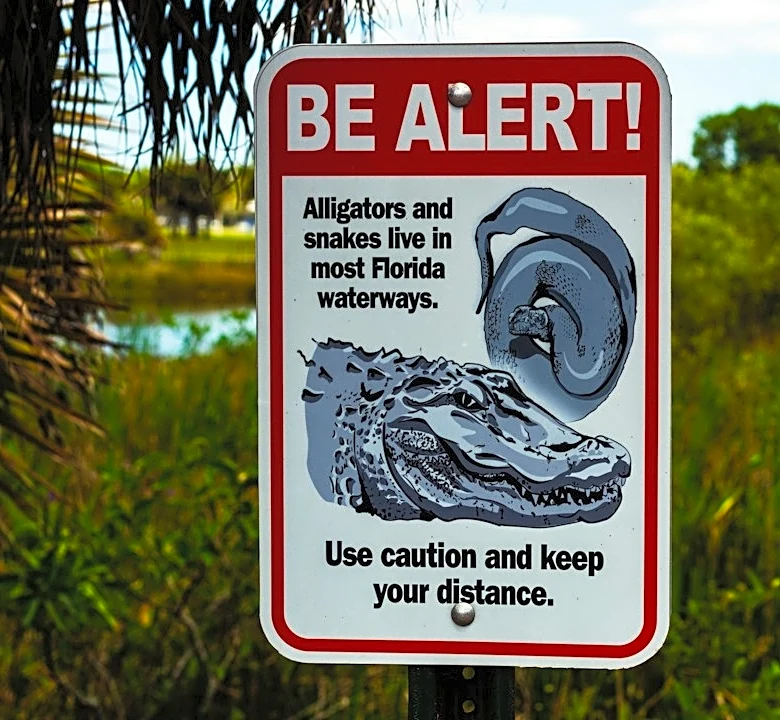 Florida Highlights Wildfire Risks During Awareness Week