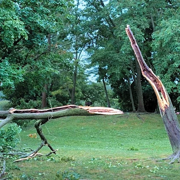 Nor’easter Targets New England With Damaging Winds and Rain