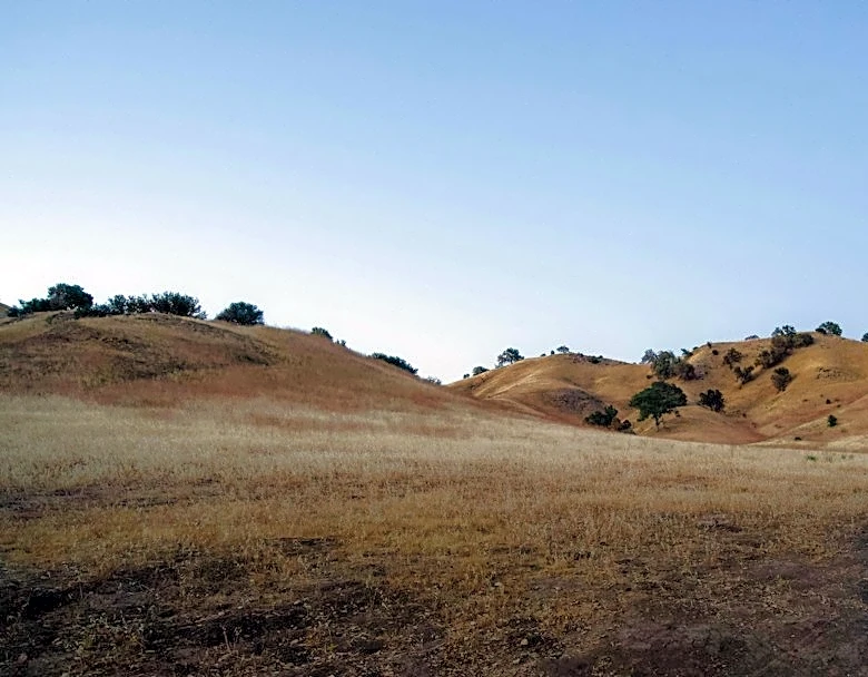 Sunny Skies and Mild Breezes in West Hills Today