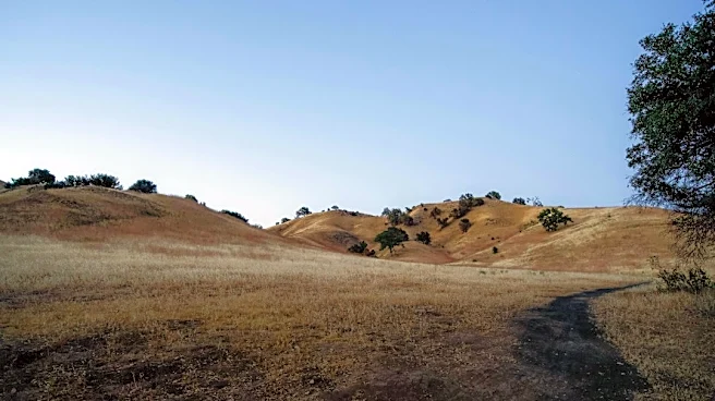 Sunny Skies and Mild Breezes in West Hills Today