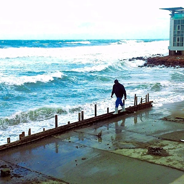 Coastal Flood Warning Issued for Alexandria
