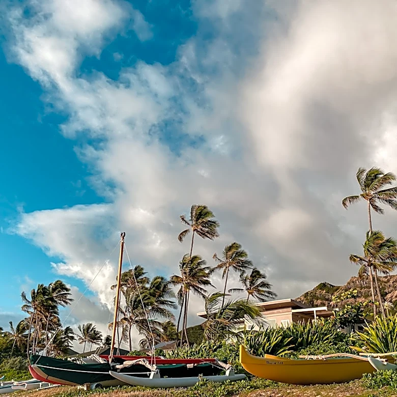 Tropical Storm Nolo Threatens Hawaii as Major Hurricane