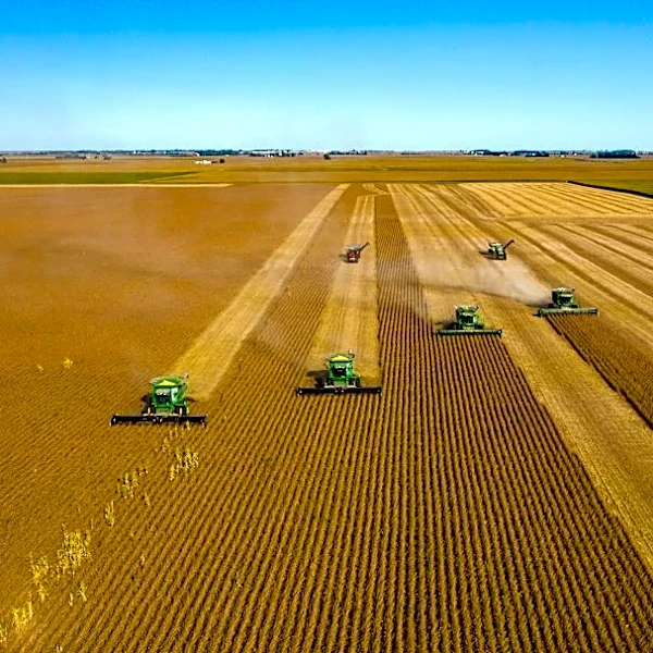 Record Strong Super El Niño Expected by Fall